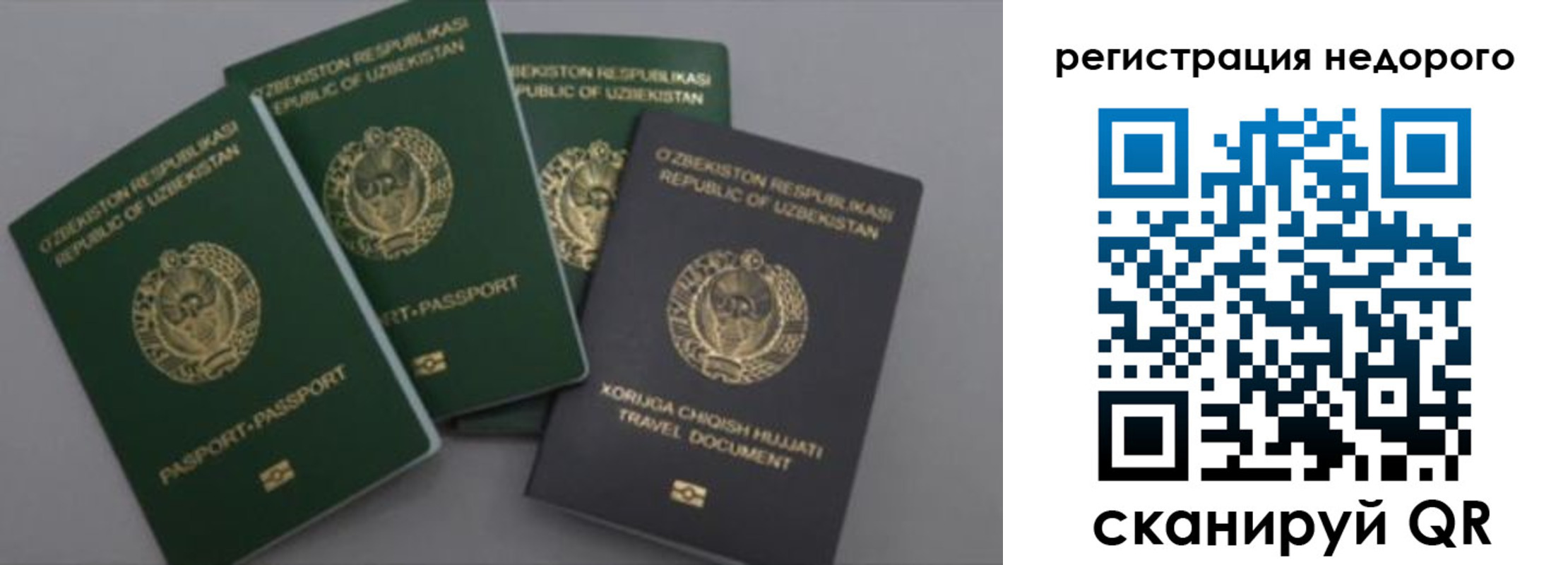 пропишу в квартире в Палласовке